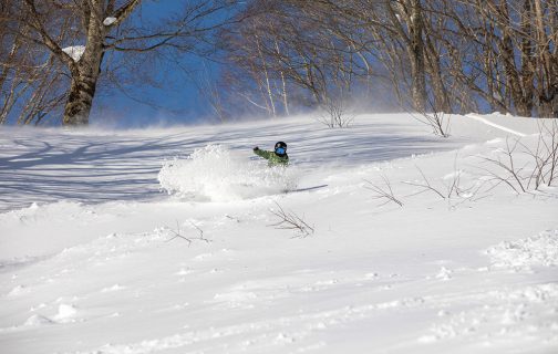 盛岡ステイで楽しむスキー旅のイメージ