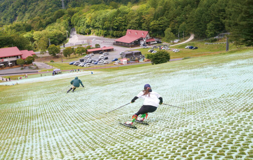 「丸沼高原サマーゲレンデ」高原でオフトレを快適に！のイメージ