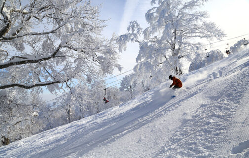 野沢温泉スキー場　2025/26要注目ポイント３選のイメージ